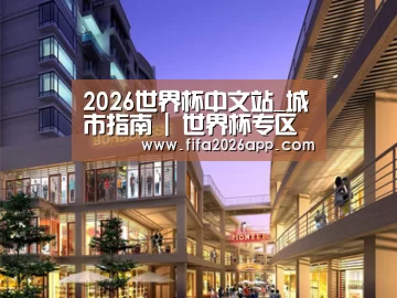 案例展示一(图1)