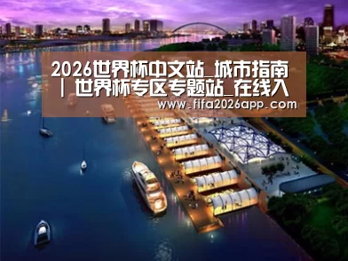 案例展示八