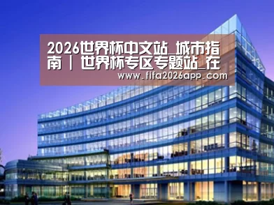 案例展示五