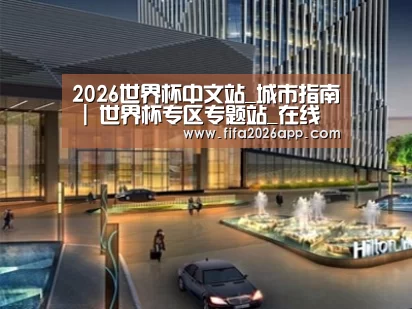 案例展示二