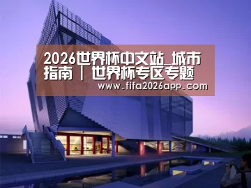 案例展示六