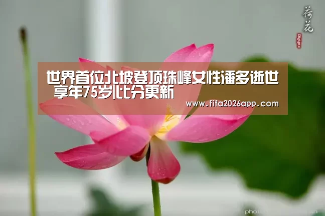 世界杯直播