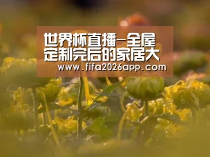 世界杯直播-全屋定制完后的家居大扫除改如何进行(图2) 世界杯直播