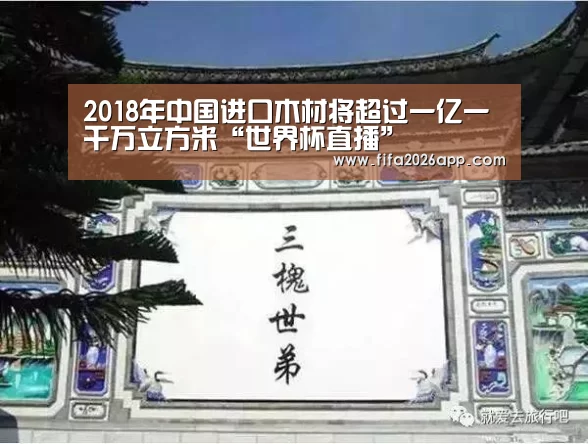 世界杯直播